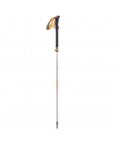 Hiking pole (RENT)