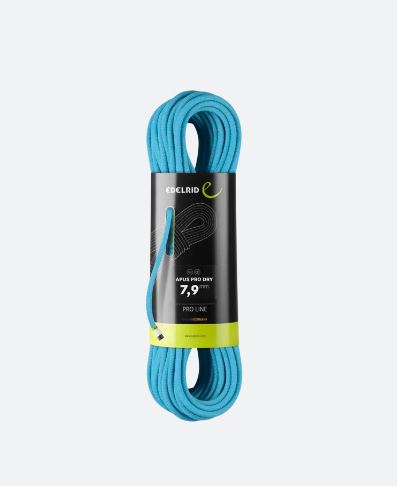 EDELRID Apus Pro Dry 7,9mm, icemint, 70 M
